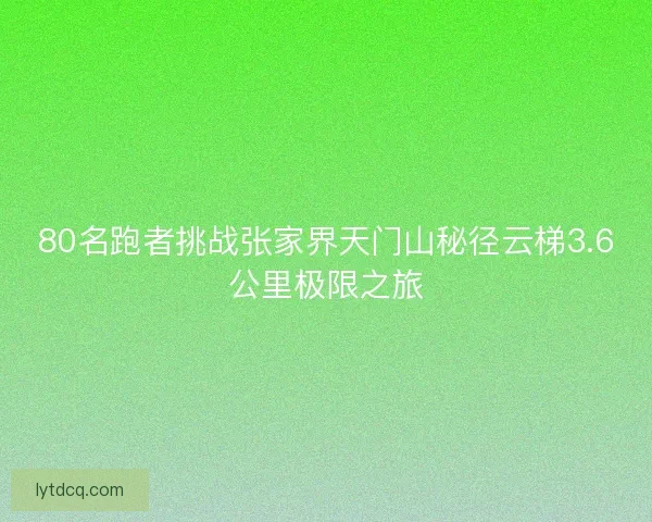 80名跑者挑战张家界天门山秘径云梯3.6公里极限之旅 80名跑者挑战张家界天门山秘径云梯3.6公里极限之旅