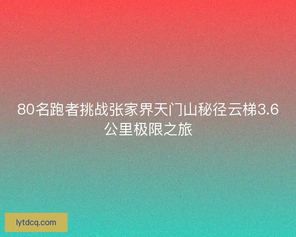 80名跑者挑战张家界天门山秘径云梯3.6公里极限之旅 80名跑者挑战张家界天门山秘径云梯3.6公里极限之旅